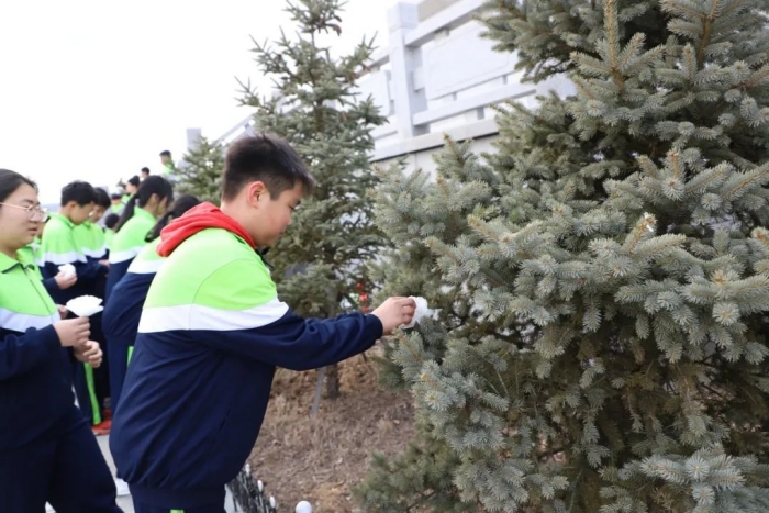 1744703244_2434_21759.jpg 7.jpg