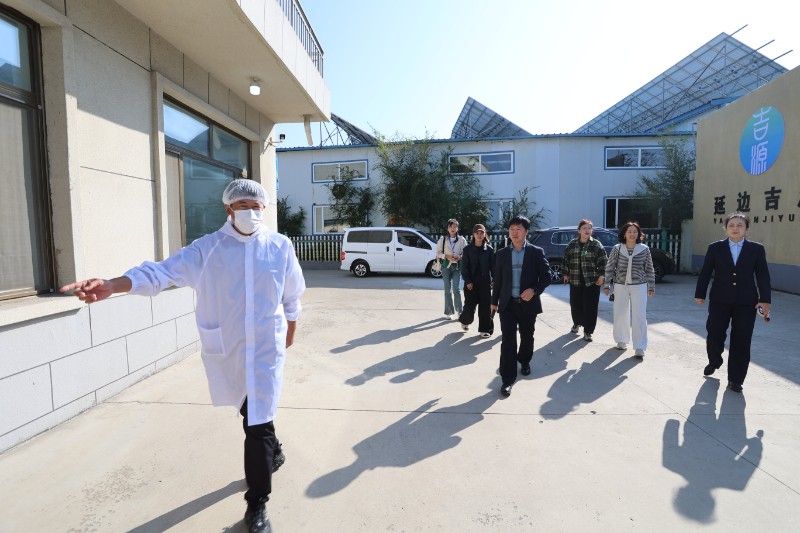 1760076533_0535_38969.jpg 1760076533_0535_38969.jpg