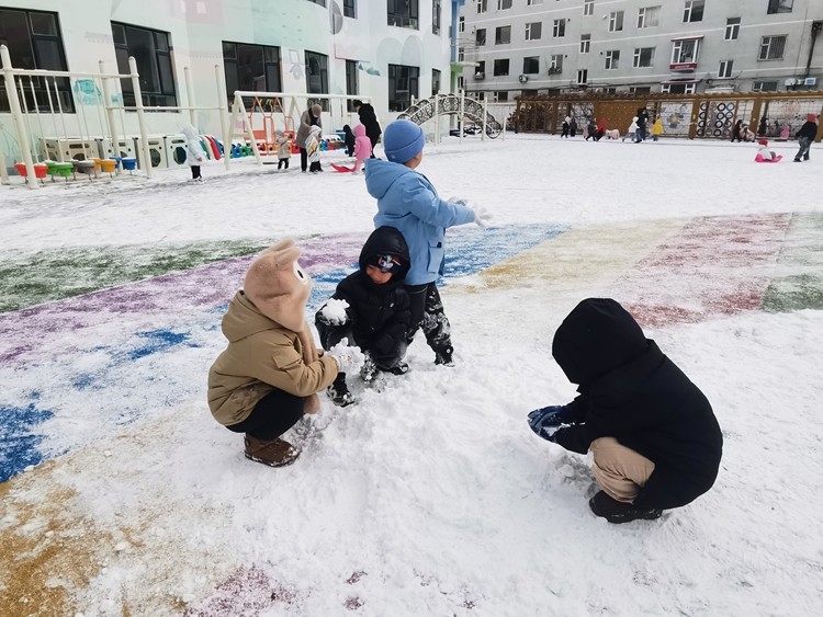 1763365057_7736_72958.jpg IMG_20251117_093808.jpg