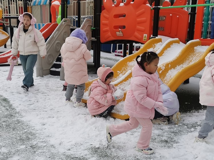 1763365127_7109_14065.jpg IMG_20251117_093832.jpg