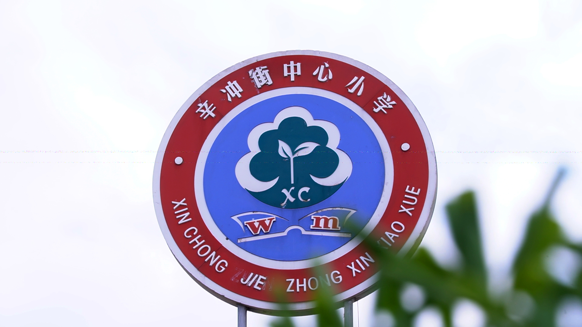 图片1