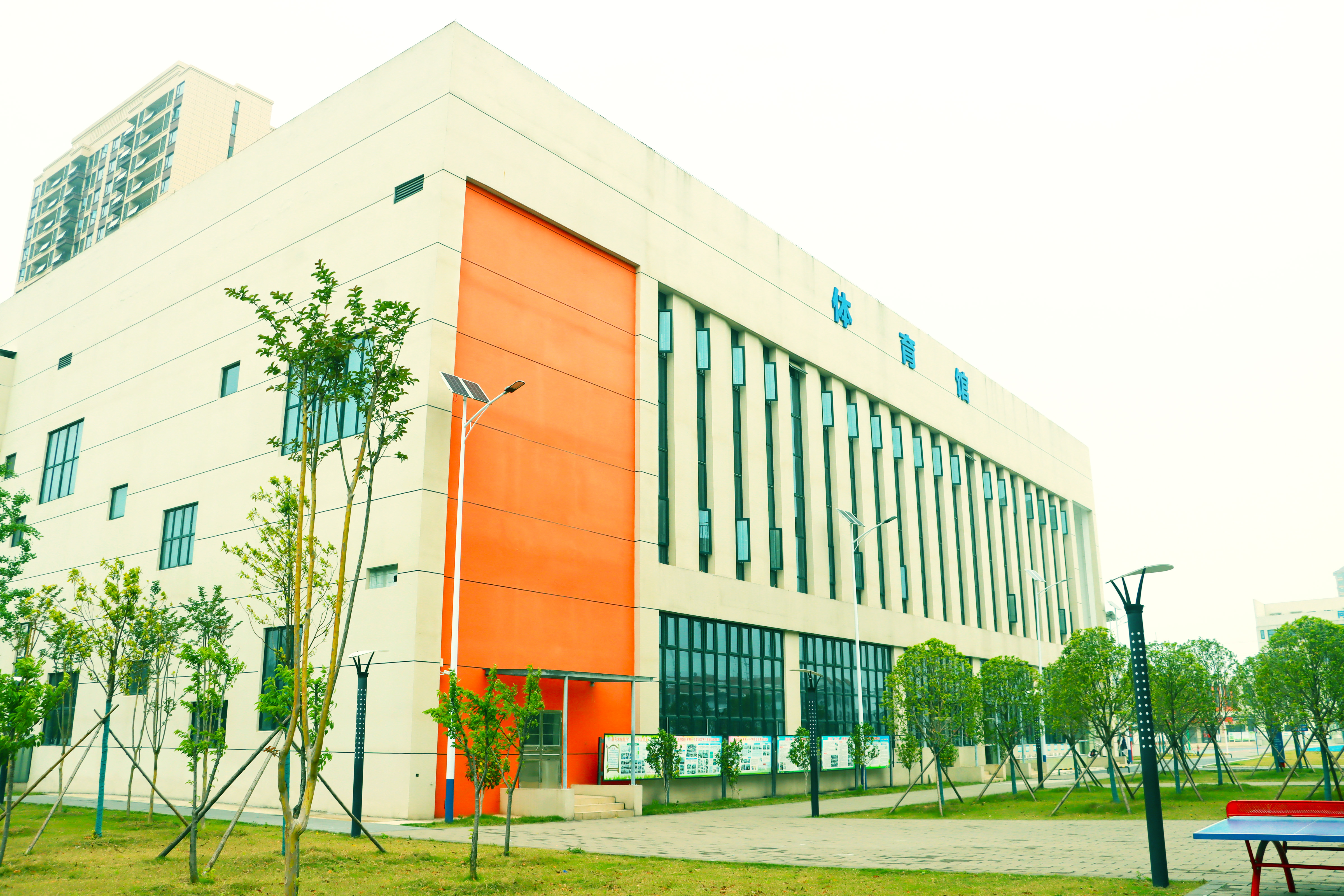 图片1