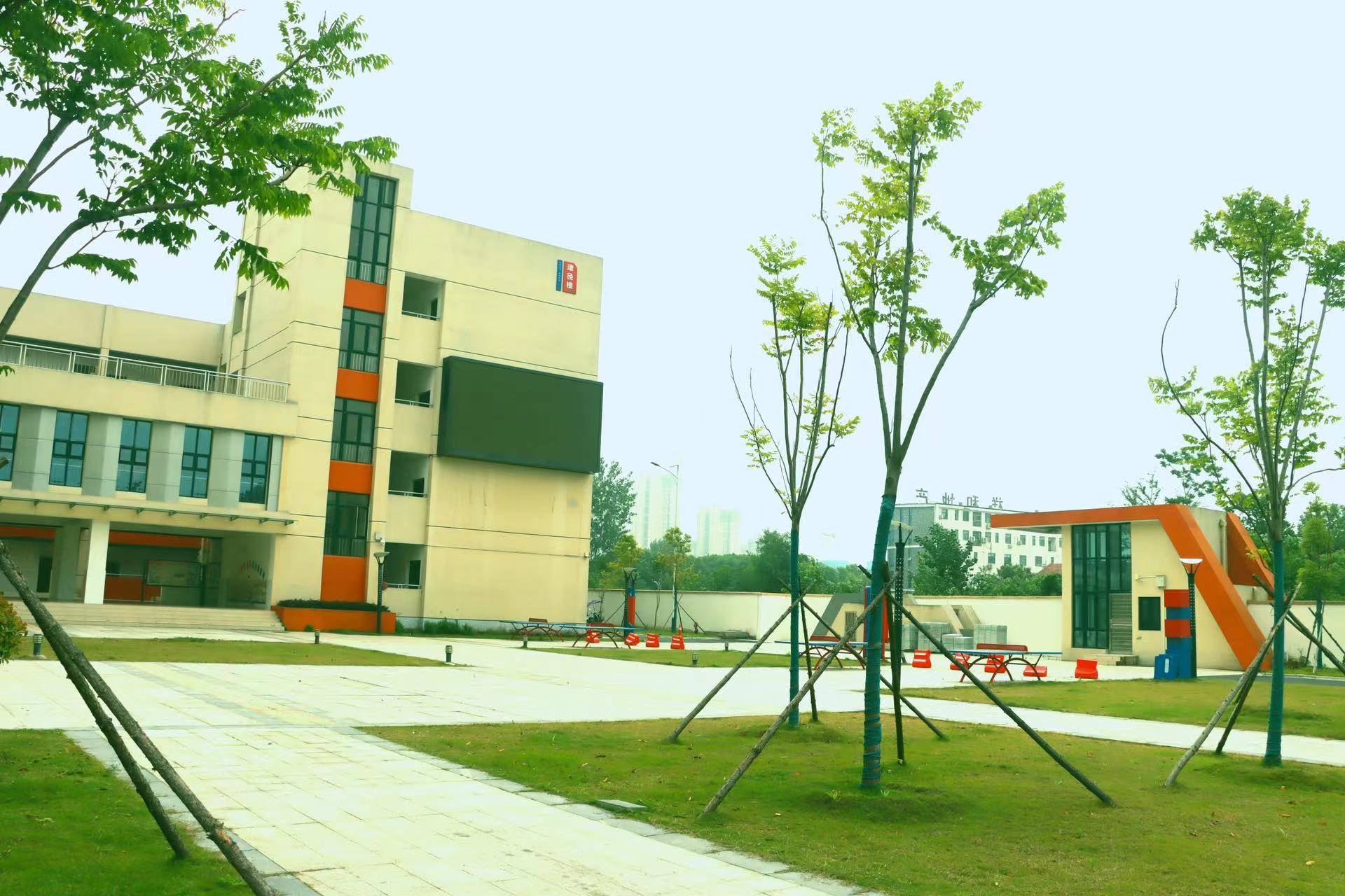 图片1