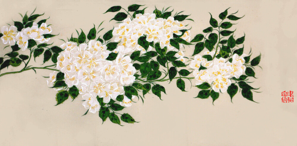 转知道荼蘼花吗这五首诗告诉你不一样的精彩