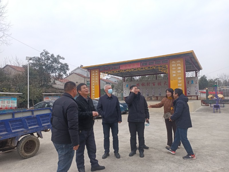 武汉市第四十九中学新洲仓埠春节扶贫慰问