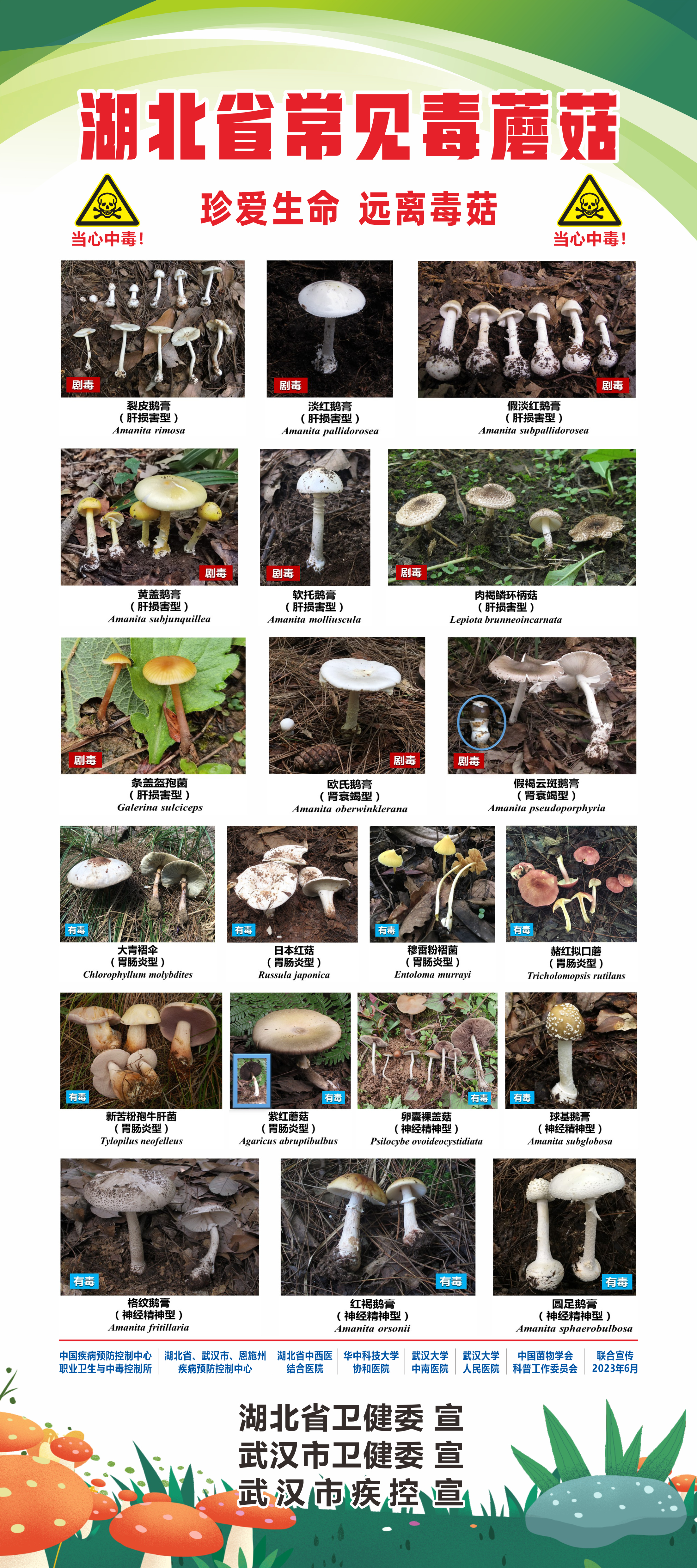 食品安全 微信图片_20241015091206.png