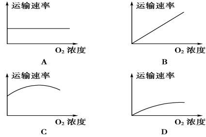 主动运输与胞吞,胞吐 公安二中 徐才华 --名师工作室